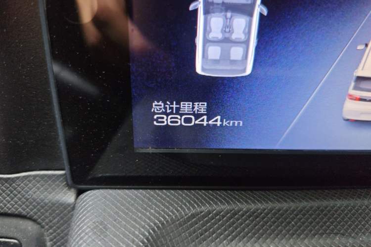 Used Wuling Hongguang MINIEV 2020 Enjoyment Model Lithium Iron Phosphate Odometer Close Up