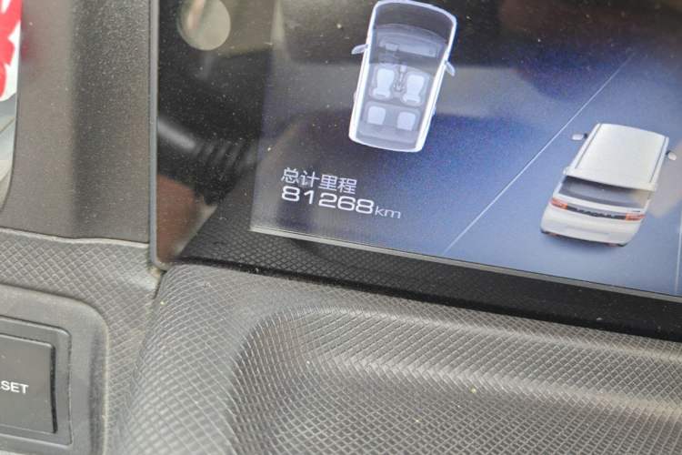 Used Wuling Hongguang MINIEV 2020 Enjoyment Model Lithium Iron Phosphate Odometer Close Up
