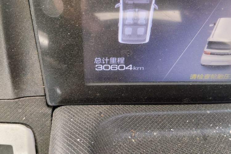 Used Wuling Hongguang MINIEV 2020 Enjoyment Model Lithium Iron Phosphate Odometer Close Up