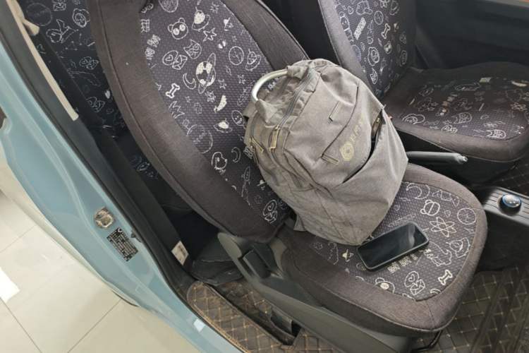 Used Wuling Hongguang MINIEV 2020 Freedom Version Lithium Iron Phosphate Right Front Seat
