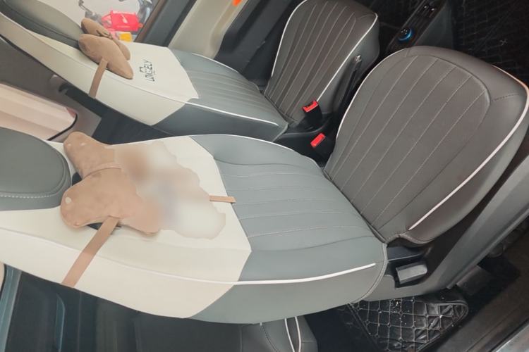 Used Wuling Hongguang MINIEV 2020 Enjoyment Model Lithium Iron Phosphate Right Front Seat
