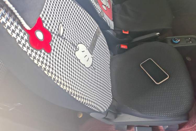 Used Wuling Hongguang MINIEV 2020 Freedom Version Lithium Iron Phosphate Right Front Seat