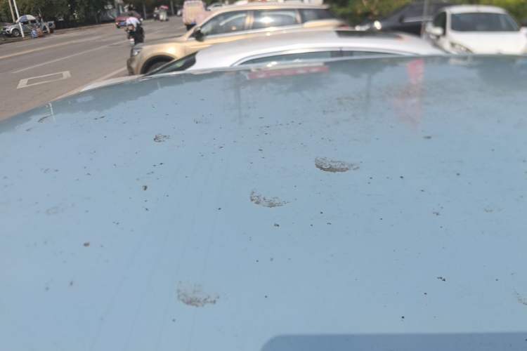 Used Wuling Hongguang MINIEV 2020 Enjoy Edition Lithium-Ion Battery Roof