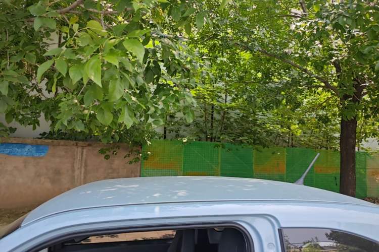Used Wuling Hongguang MINIEV 2020 Enjoy Edition Lithium-Ion Battery Roof