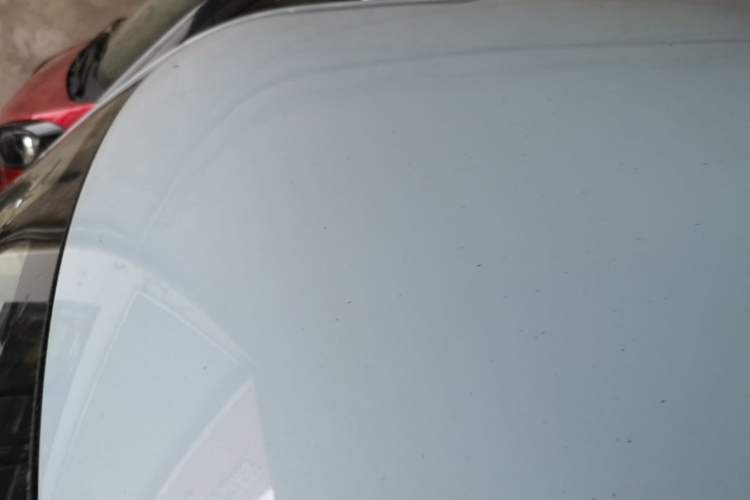 Used Wuling Hongguang MINIEV 2020 Enjoyment Model Lithium Iron Phosphate Roof