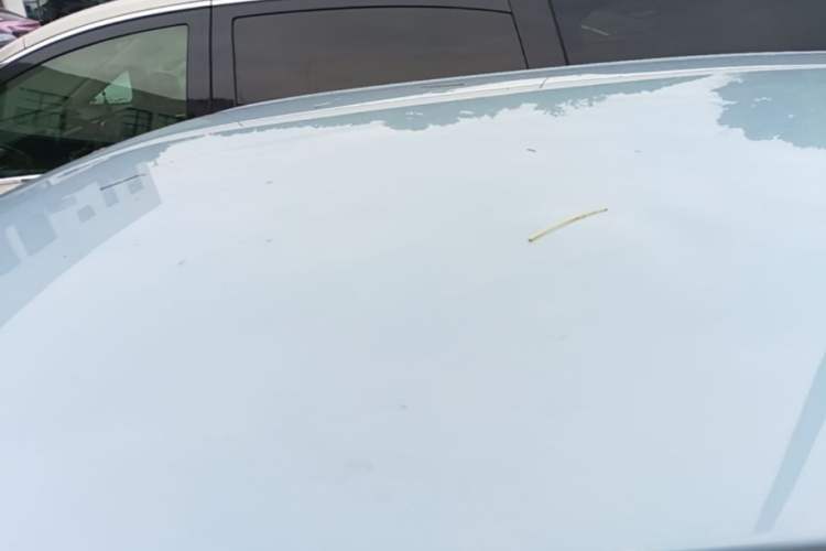 Used Wuling Hongguang MINIEV 2020 Freedom Version Lithium Iron Phosphate Roof