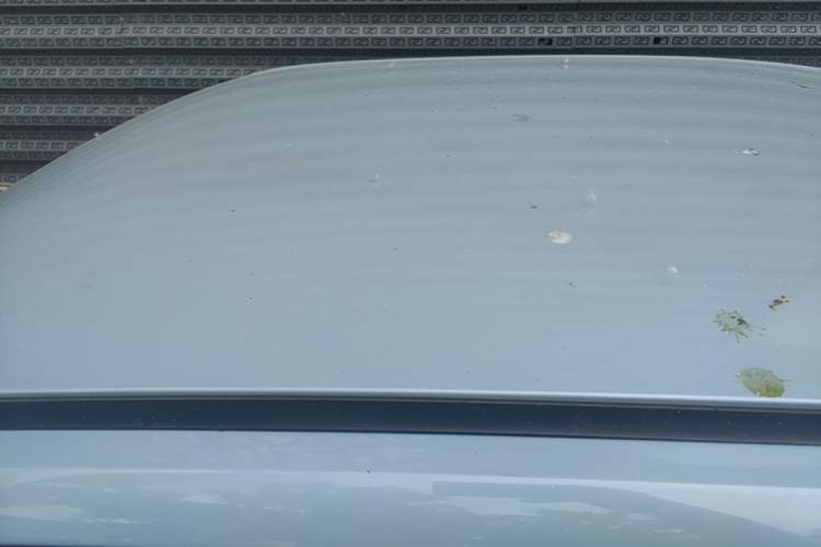 Used Wuling Hongguang MINIEV 2020 Enjoyment Model Lithium Iron Phosphate Roof