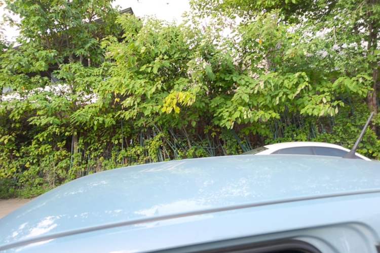 Used Wuling Hongguang MINIEV 2020 Freedom Version Lithium Iron Phosphate Roof