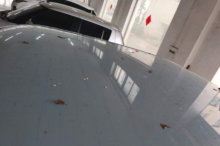 Used Wuling Hongguang MINIEV 2020 Enjoyment Model Lithium Iron Phosphate Roof