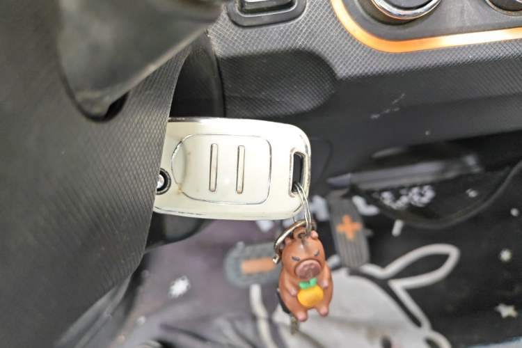Used Wuling Hongguang MINIEV 2020 Zizai Version Lithium-NMC Vehicle Key