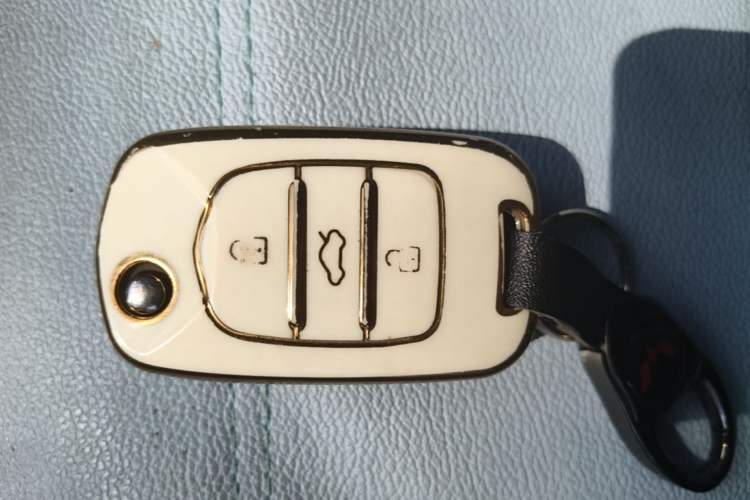 Used Wuling Hongguang MINIEV 2020 Freedom Version Lithium Iron Phosphate Vehicle Key