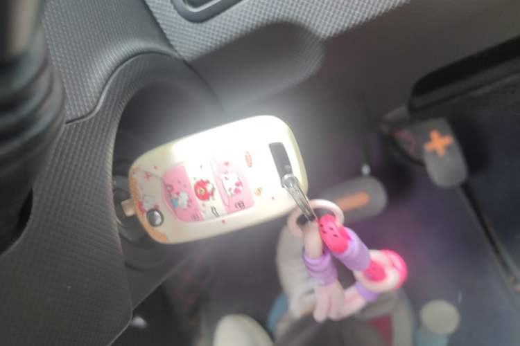 Used Wuling Hongguang MINIEV 2020 Enjoyment Model Lithium Iron Phosphate Vehicle Key