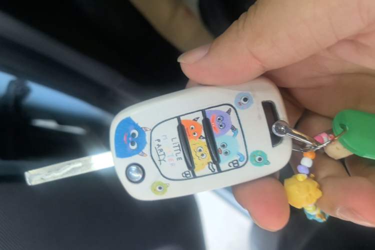 Used Wuling Hongguang MINIEV 2020 Freedom Version Lithium Iron Phosphate Vehicle Key
