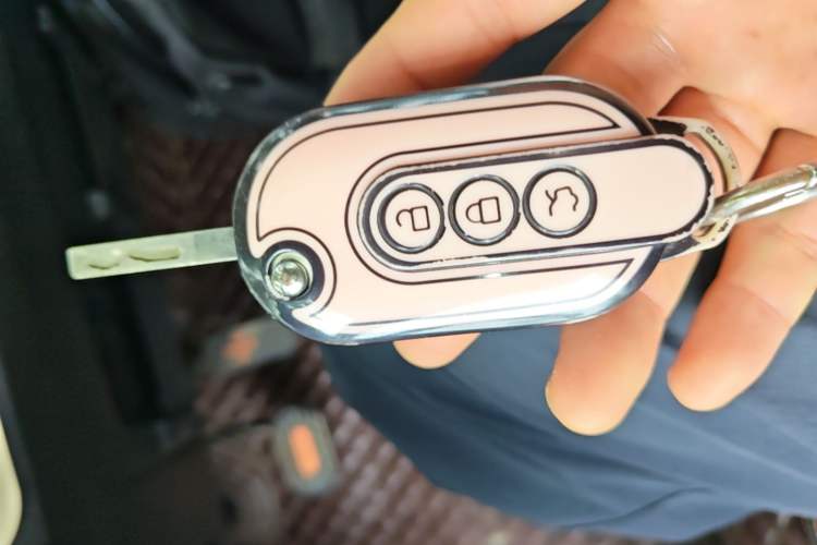 Used Wuling Hongguang MINIEV 2020 Enjoyment Model Lithium Iron Phosphate Vehicle Key