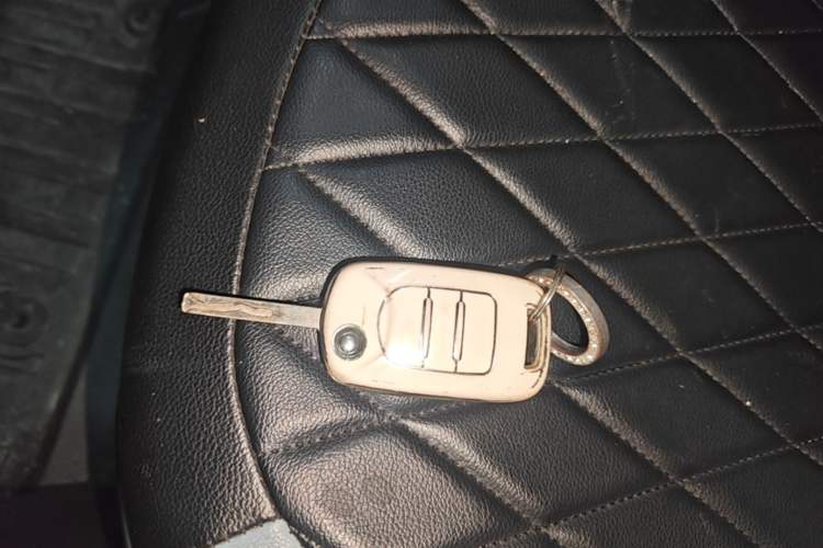 Used Wuling Hongguang MINIEV 2020 Freedom Version Lithium Iron Phosphate Vehicle Key