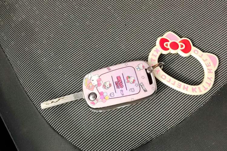 Used Wuling Hongguang MINIEV 2020 Enjoyment Model Lithium Iron Phosphate Vehicle Key