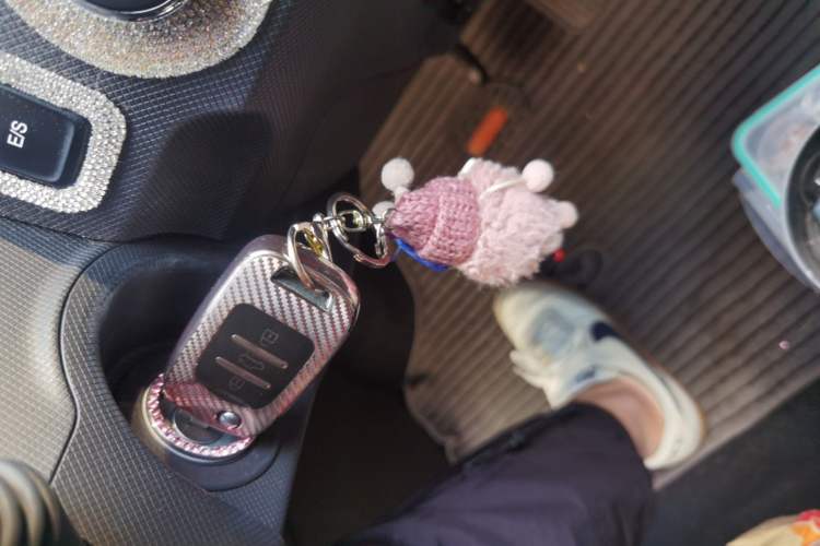 Used Wuling Hongguang MINIEV 2020 Enjoyment Model Lithium Iron Phosphate Vehicle Key