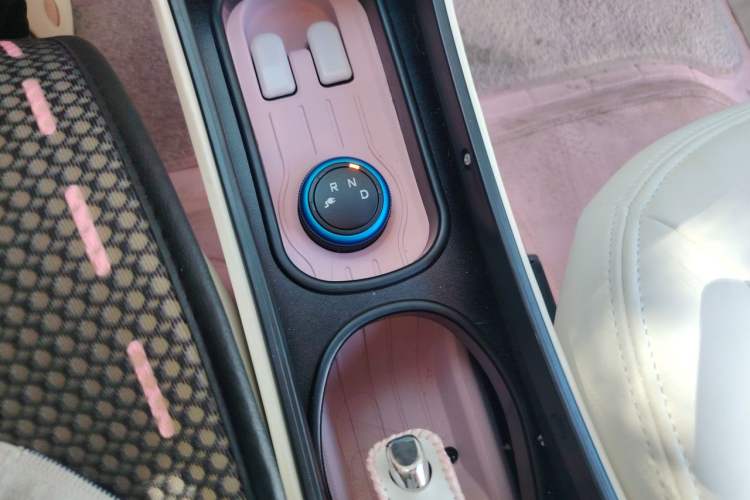Used Wuling Hongguang MINIEV 2020 Enjoyment Model Lithium Iron Phosphate Gear Lever