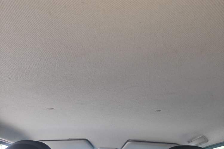 Used Wuling Hongguang MINIEV 2020 Freedom Version Lithium Iron Phosphate Headliner