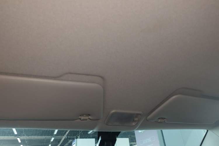 Used Wuling Hongguang MINIEV 2020 Enjoyment Model Lithium Iron Phosphate Headliner