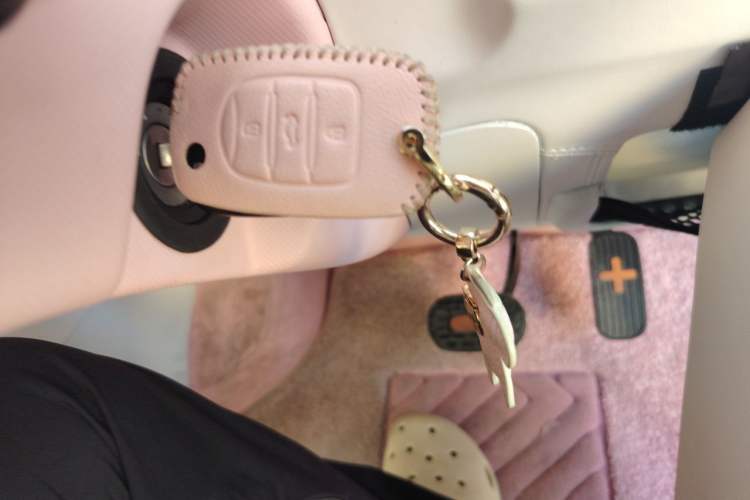 Used Wuling Hongguang MINIEV 2020 Enjoyment Model Lithium Iron Phosphate Vehicle Key