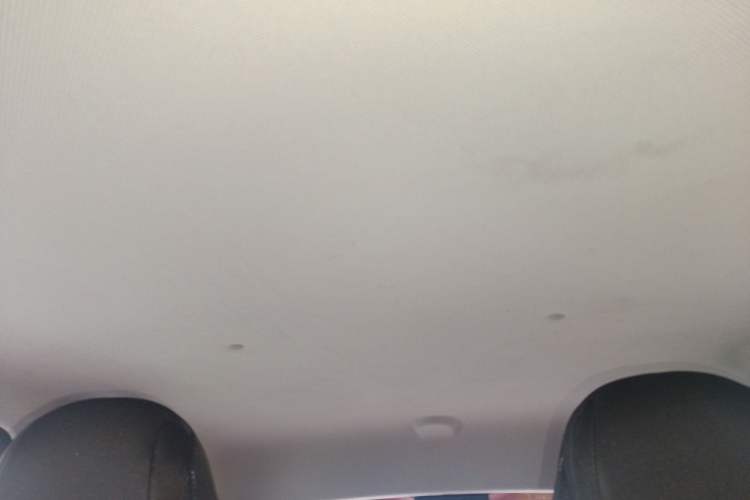 Used Wuling Hongguang MINIEV 2020 Enjoyment Model Lithium Iron Phosphate Headliner
