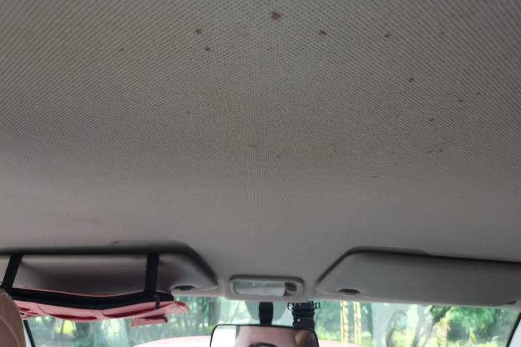 Used Wuling Hongguang MINIEV 2020 Freedom Version Lithium Iron Phosphate Headliner