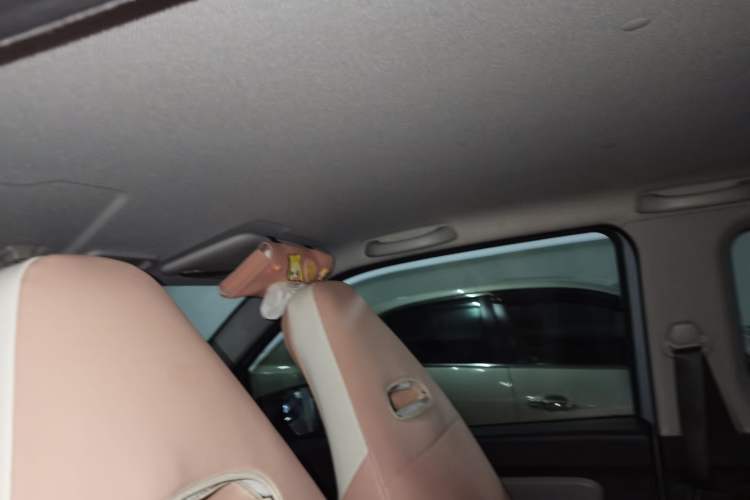 Used Wuling Hongguang MINIEV 2020 Freedom Version Lithium Iron Phosphate Headliner