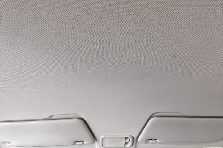 Used Wuling Hongguang MINIEV 2020 Freedom Version Lithium Iron Phosphate Headliner