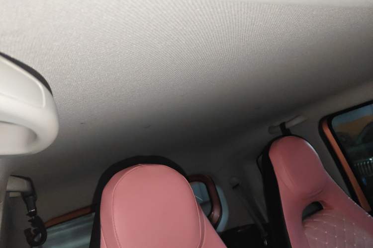 Used Wuling Hongguang MINIEV 2020 Easy Version Lithium-Ion Battery Headliner