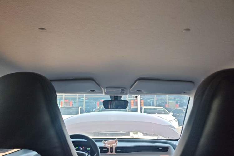 Used Wuling Hongguang MINIEV 2020 Enjoyment Model Lithium Iron Phosphate Headliner