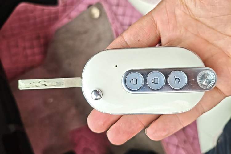 Used Wuling Hongguang MINIEV 2020 Zizai Version Lithium-NMC Vehicle Key