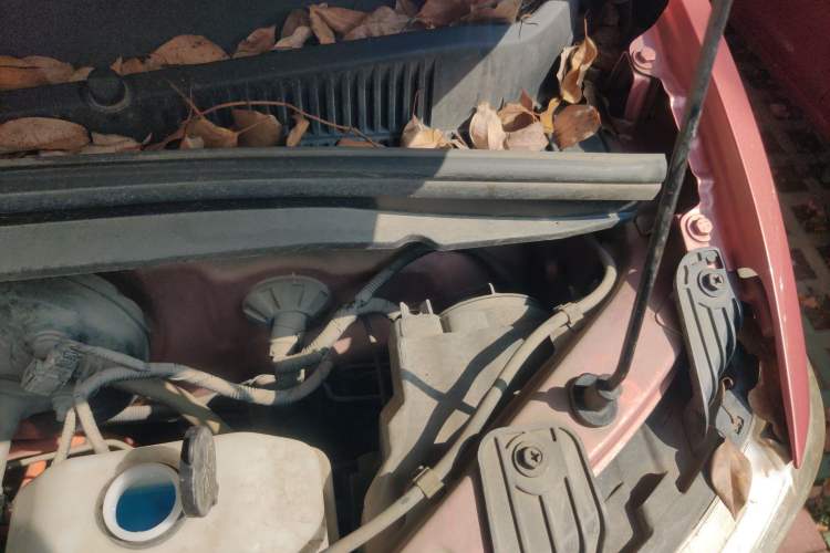 Used Wuling Hongguang MINIEV 2020 Enjoyment Model Lithium Iron Phosphate Engine Bay Left