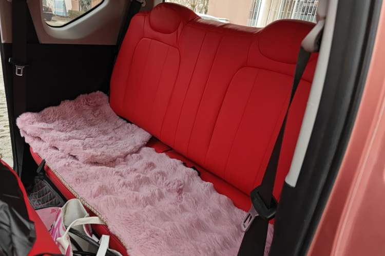 Used Wuling Hongguang MINIEV 2020 Freedom Version Lithium Iron Phosphate Left Rear Seat