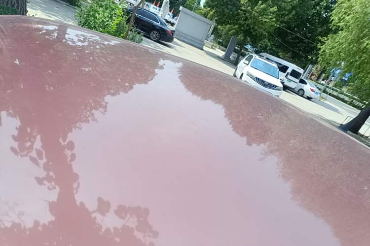 Used Wuling Hongguang MINIEV 2020 Freedom Version Lithium Iron Phosphate Roof