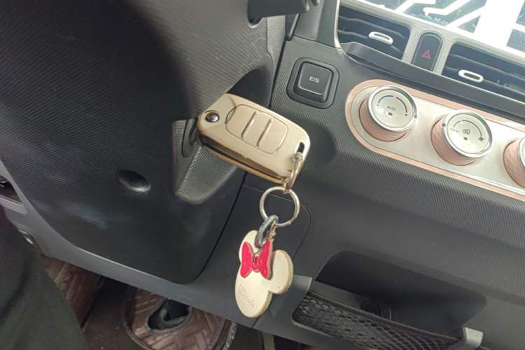 Used Wuling Hongguang MINIEV 2020 Enjoy Edition Lithium-Ion Battery Vehicle Key