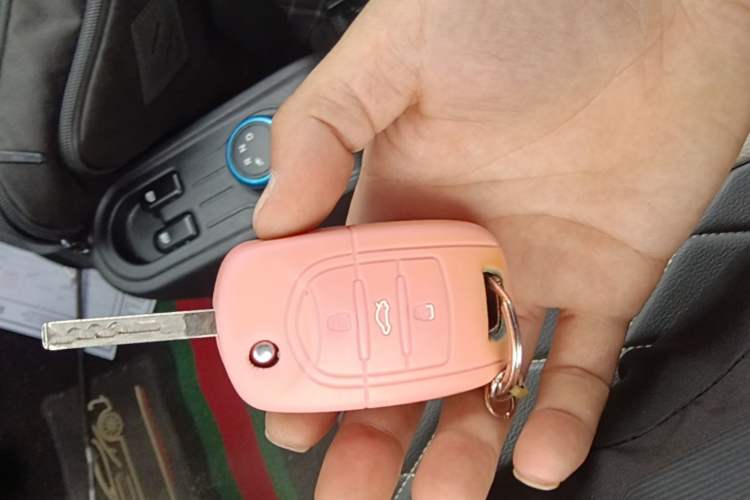 Used Wuling Hongguang MINIEV 2020 Zizai Version Lithium-NMC Vehicle Key