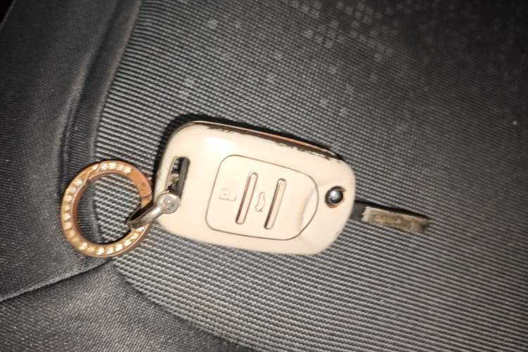 Used Wuling Hongguang MINIEV 2020 Freedom Version Lithium Iron Phosphate Vehicle Key