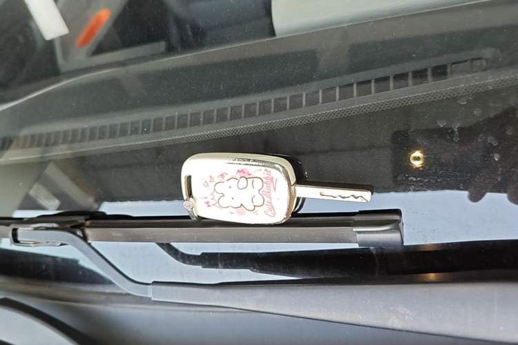 Used Wuling Hongguang MINIEV 2020 Enjoy Edition Lithium-Ion Battery Vehicle Key