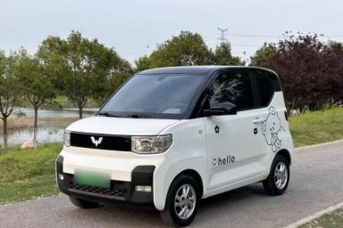 Used Wuling Hongguang MINIEV 2020 Enjoyment Model Lithium Iron Phosphate