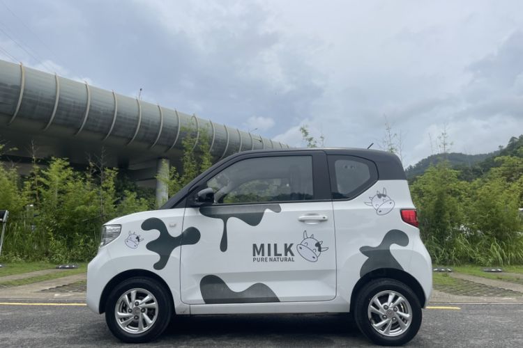 Used Wuling Hongguang MINIEV 2020 Enjoyment Model Lithium Iron Phosphate Exterior 2