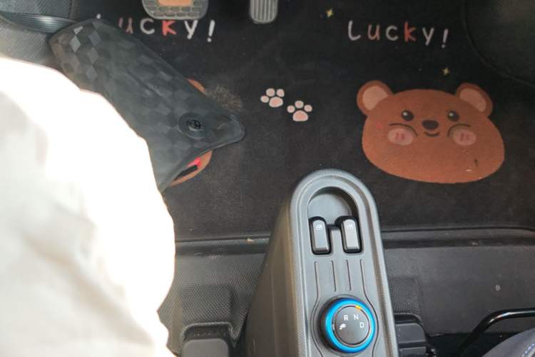 Used Wuling Hongguang MINIEV 2020 Enjoy Edition Lithium-Ion Battery Gear Lever