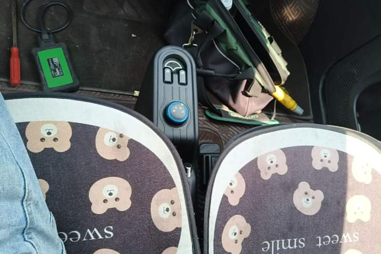 Used Wuling Hongguang MINIEV 2020 Enjoyment Model Lithium Iron Phosphate Gear Lever