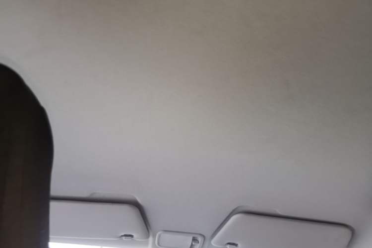 Used Wuling Hongguang MINIEV 2020 Enjoyment Model Lithium Iron Phosphate Headliner