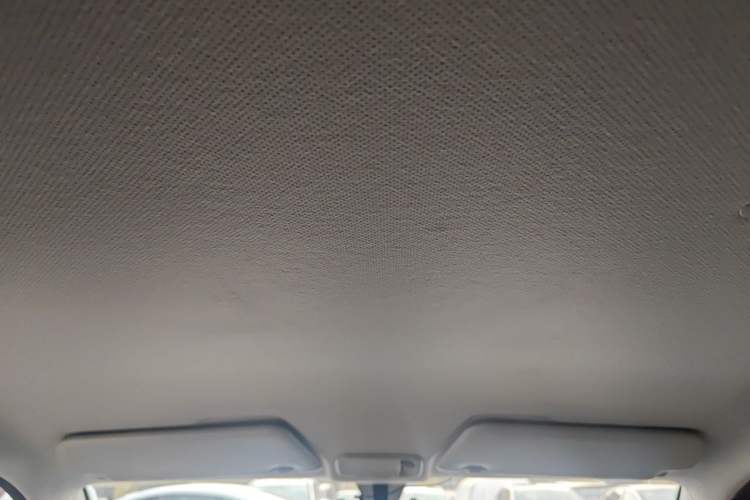 Used Wuling Hongguang MINIEV 2020 Freedom Version Lithium Iron Phosphate Headliner