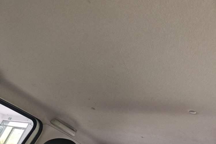 Used Wuling Hongguang MINIEV 2020 Freedom Version Lithium Iron Phosphate Headliner
