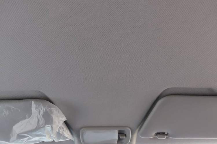 Used Wuling Hongguang MINIEV 2020 Freedom Version Lithium Iron Phosphate Headliner