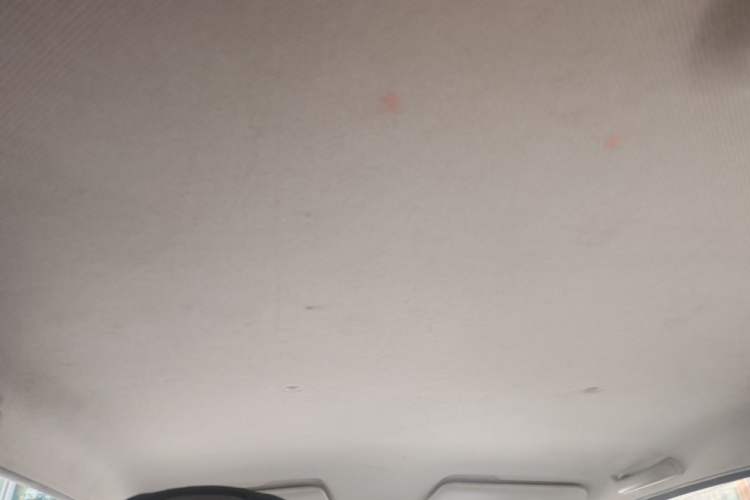 Used Wuling Hongguang MINIEV 2020 Freedom Version Lithium Iron Phosphate Headliner