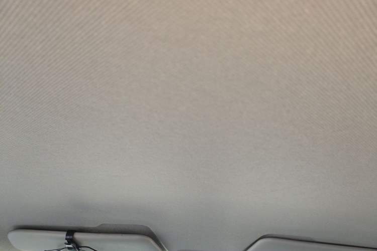 Used Wuling Hongguang MINIEV 2020 Freedom Version Lithium Iron Phosphate Headliner