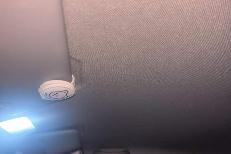 Used Wuling Hongguang MINIEV 2020 Freedom Version Lithium Iron Phosphate Headliner
